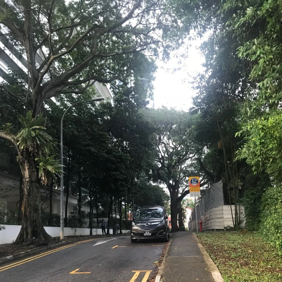 KakaoTalk_20190411_103122118.jpg?type=w1