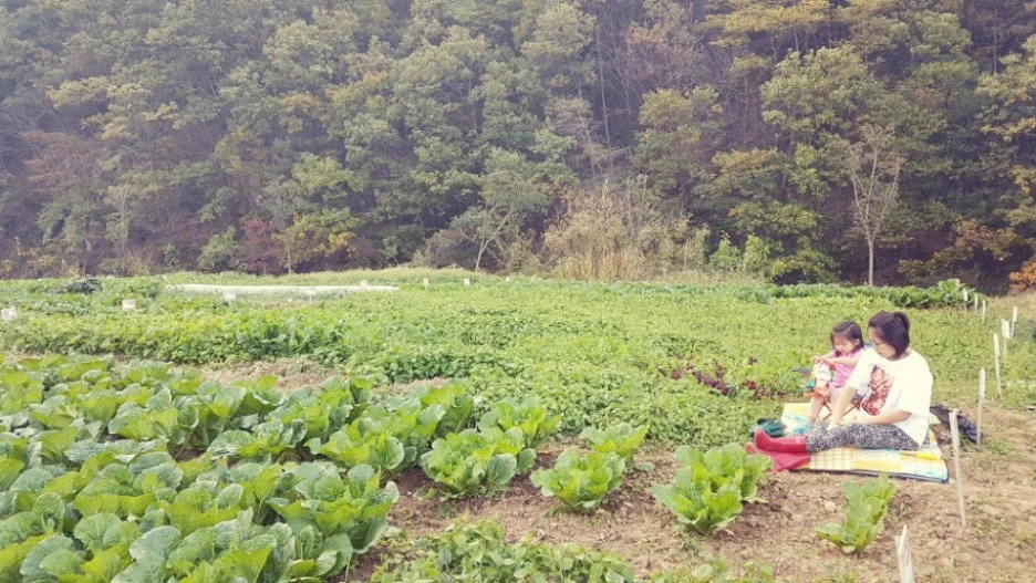 IMG_1225.JPG?type=w1