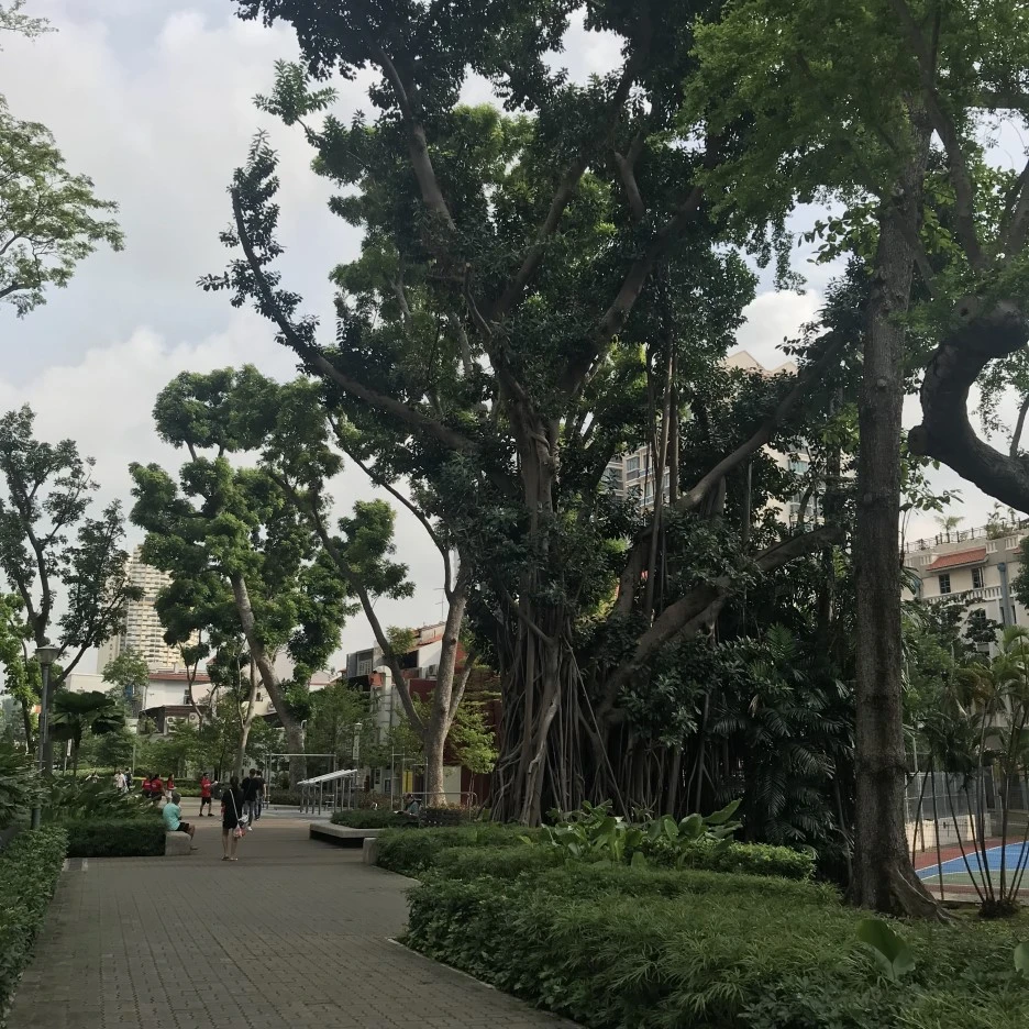 IMG_4731.jpg?type=w1