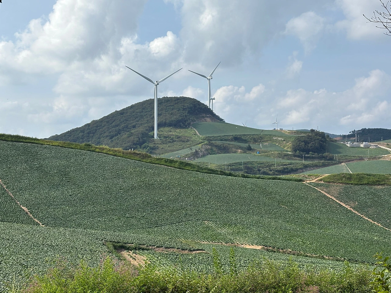 KakaoTalk_Photo_2025-09-08-00-00-42 002.jpeg