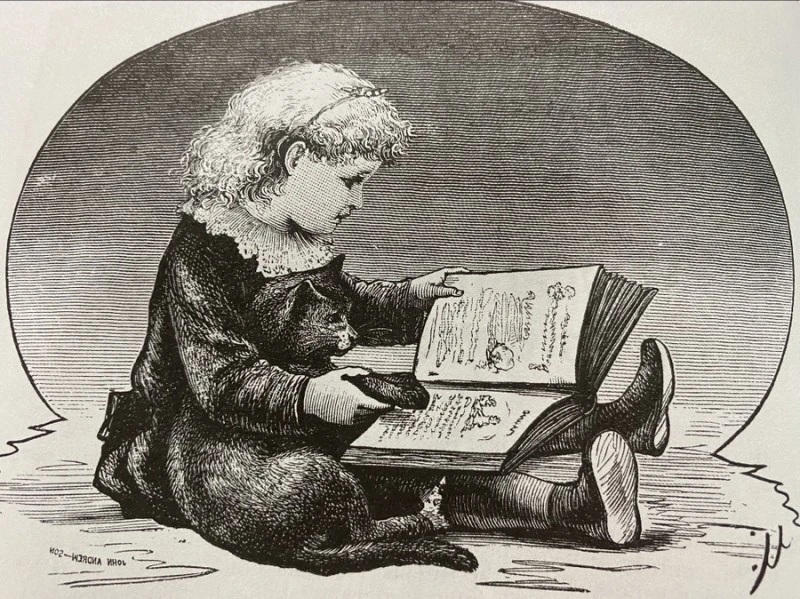 output_63788050.jpg?type=w800