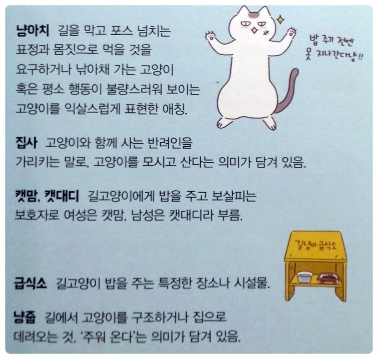 image_6679258471515303451356.jpg?type=w773