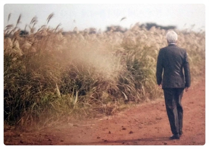 image_257208891533190583946.jpg?type=w773