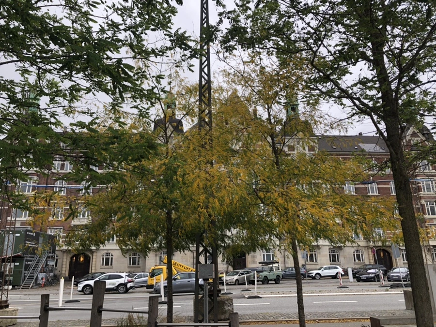 IMG_9857.jpg?type=w1