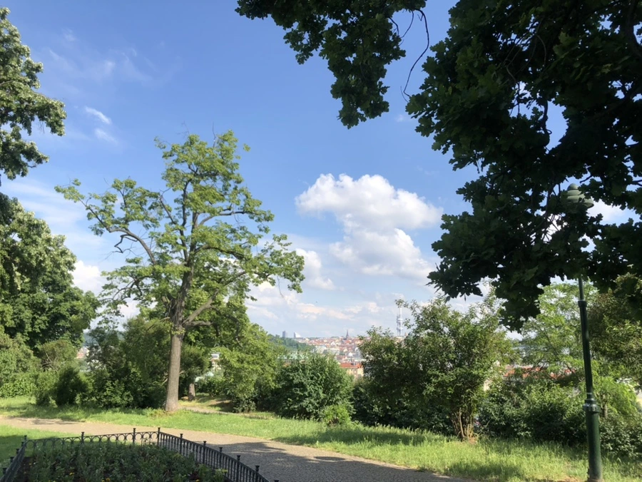 IMG_8379.jpg?type=w1