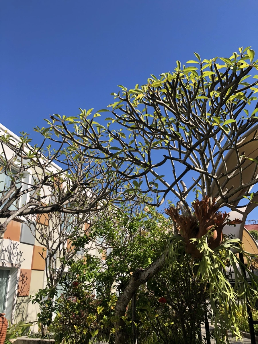 IMG_7462.jpg?type=w1