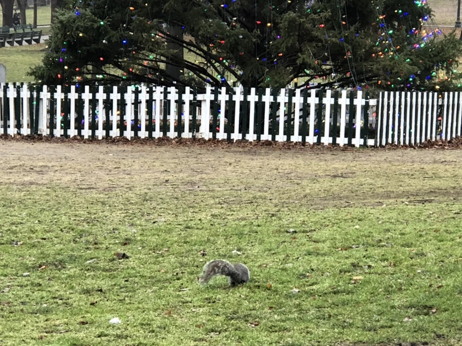 IMG_6581.jpg?type=w1