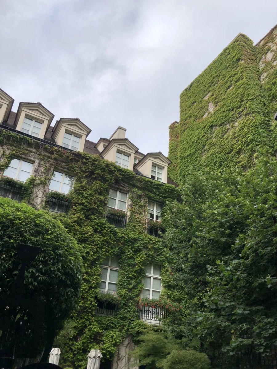 IMG_9187.jpg?type=w1