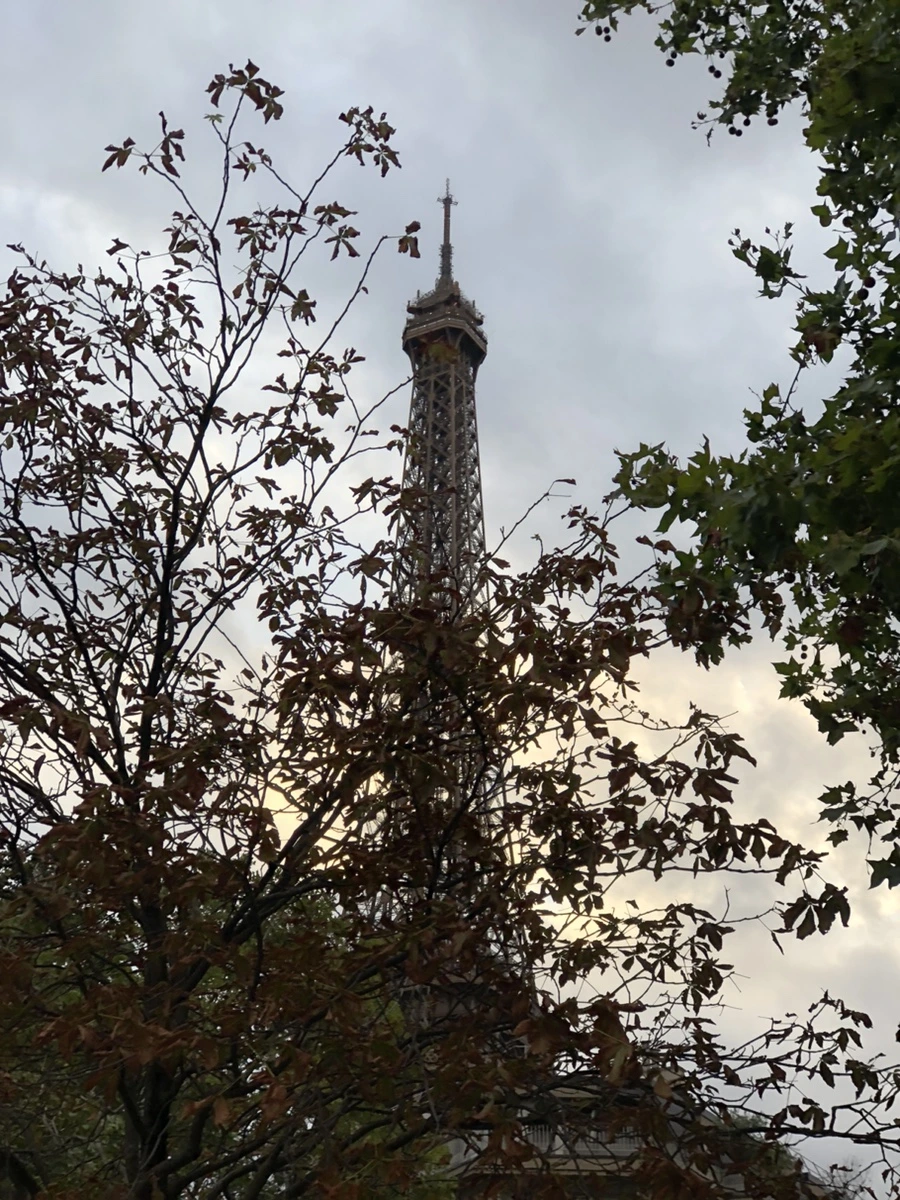 IMG_9196.jpg?type=w1