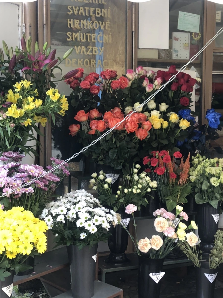 IMG_9549.jpg?type=w1