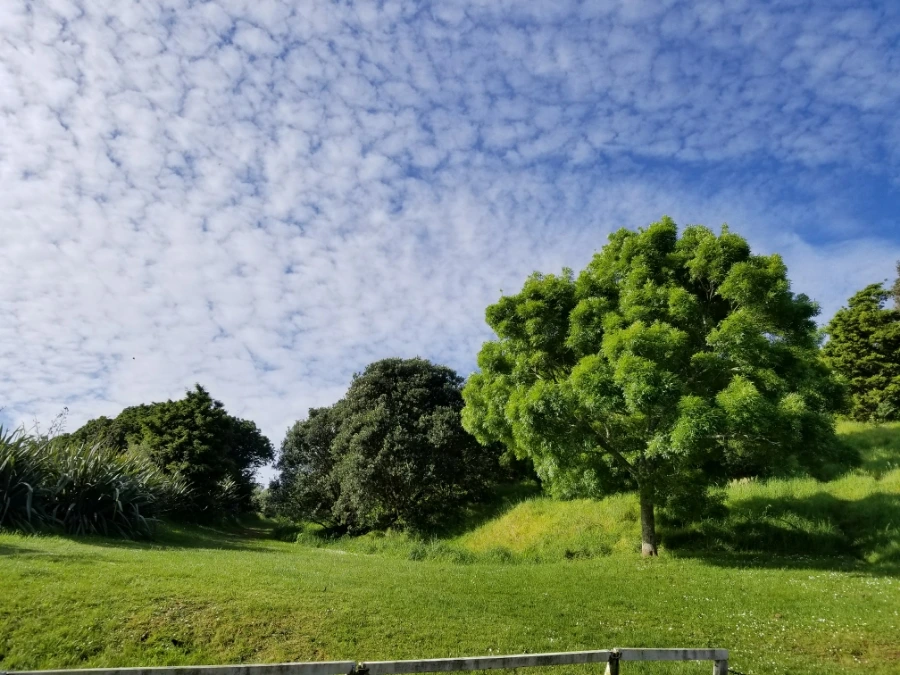 20171031%EF%BC%BF174421.jpg?type=w1