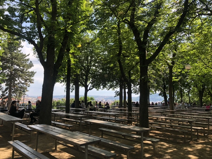 IMG_8384.jpg?type=w1