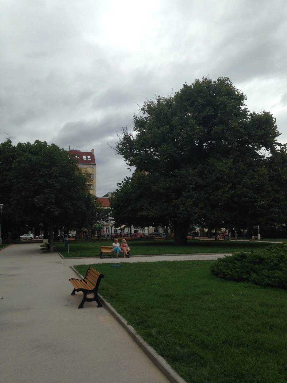 IMG_0914.JPG?type=w1