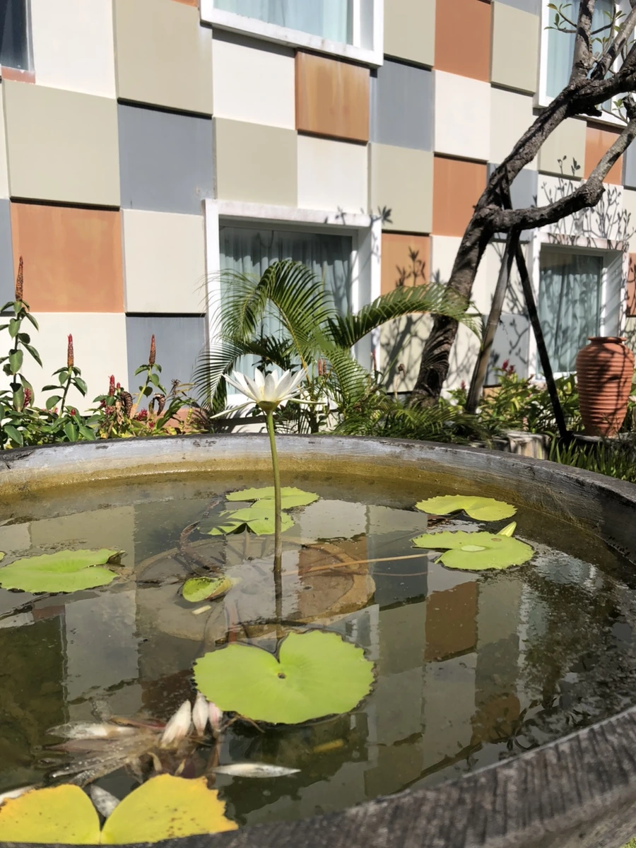 IMG_7461.jpg?type=w1