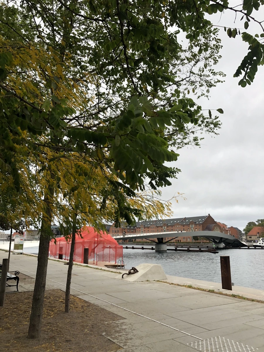 IMG_9854.jpg?type=w1