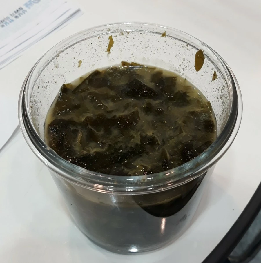 1575584656669.jpg?type=w1