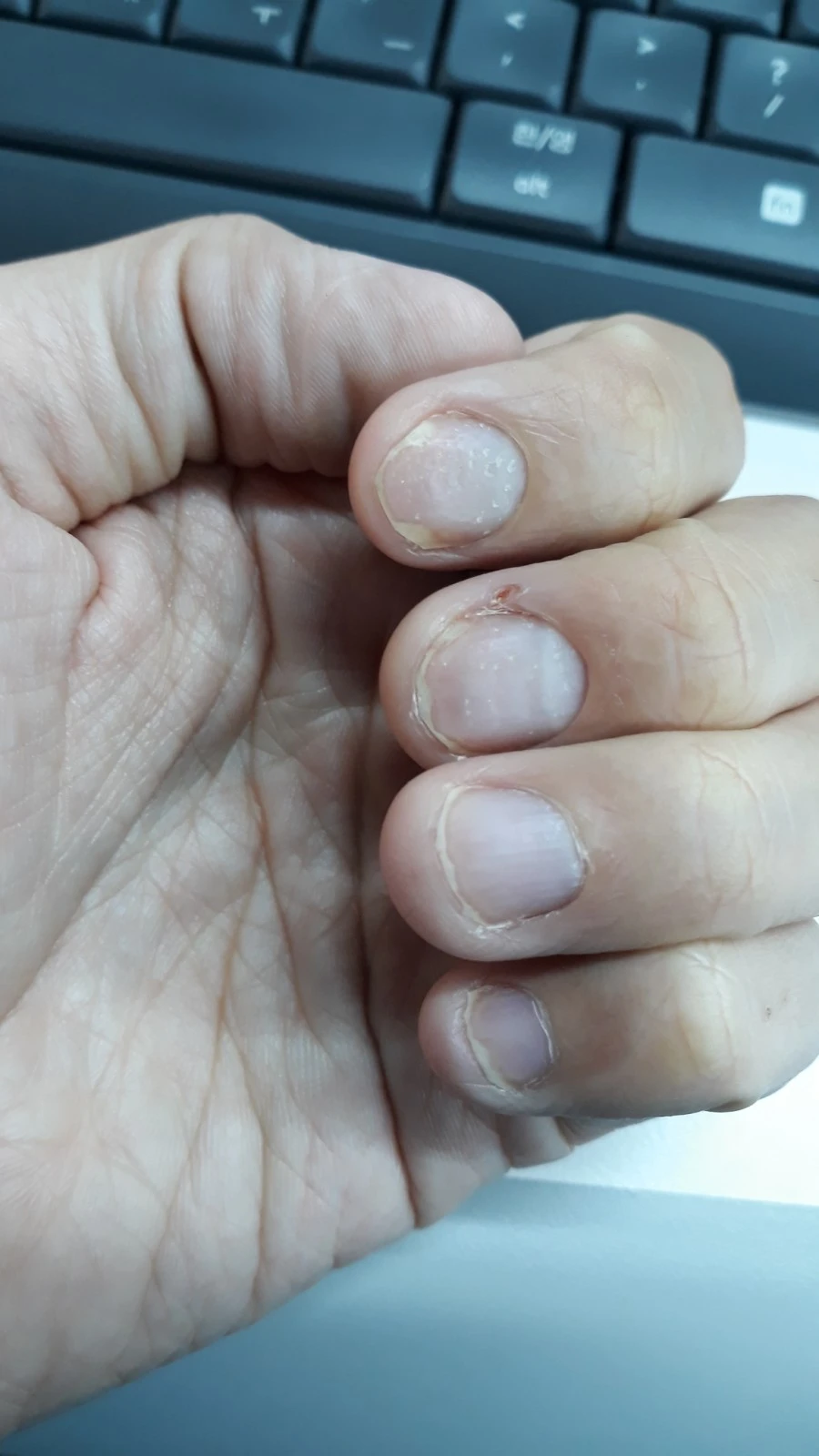 1574684359355.jpg?type=w1