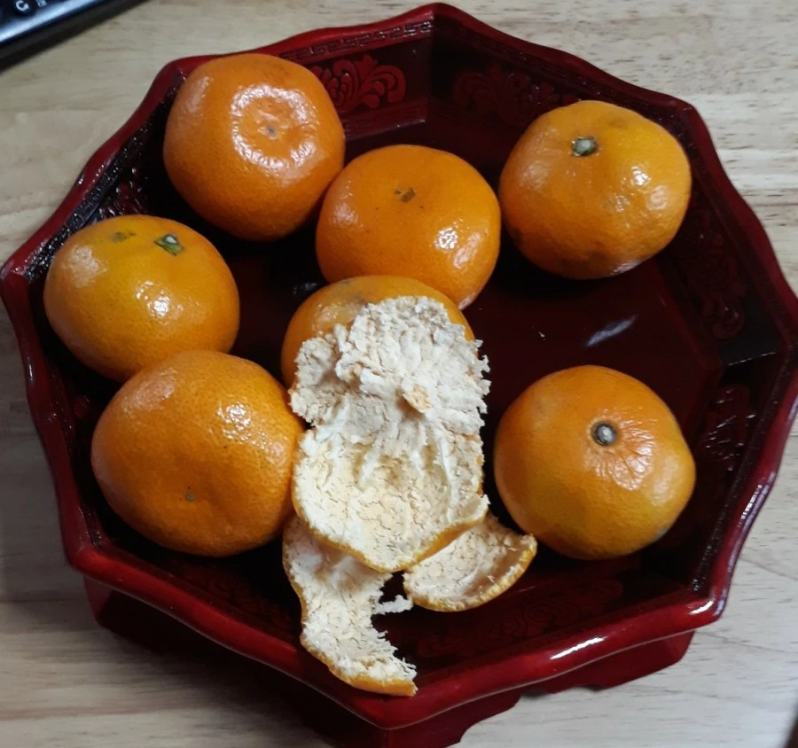 1575119642529.jpg?type=w1