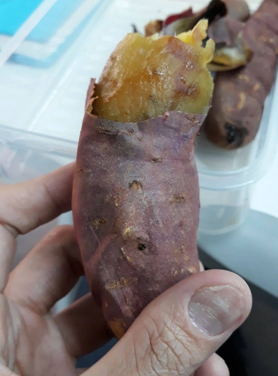 1574684927233.jpg?type=w1