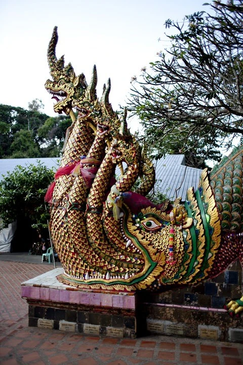 2013-26-11.jpg?resize=480%2C720