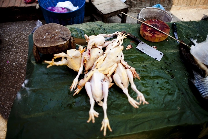 _MG_7687.jpg?type=w1