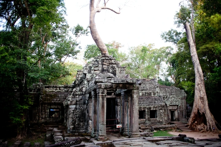 _MG_1186.JPG?type=w1