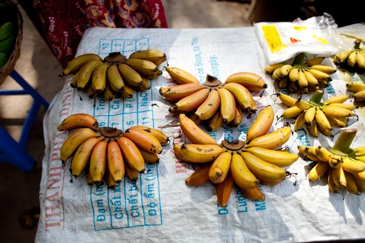 _MG_1820.JPG?type=w1