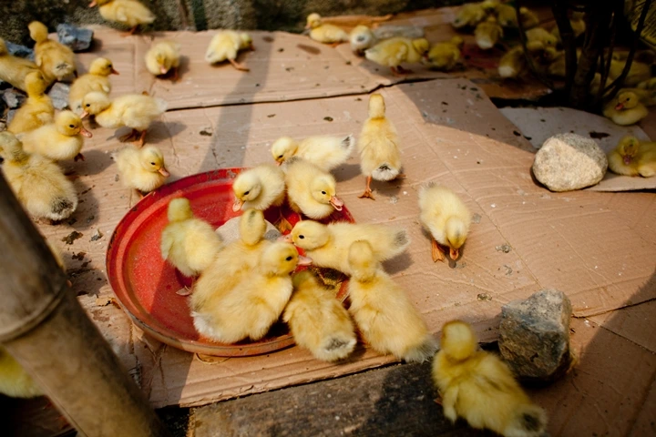 _MG_8924.JPG?type=w1