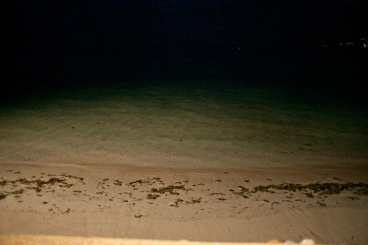 13-18.jpg?resize=720%2C480