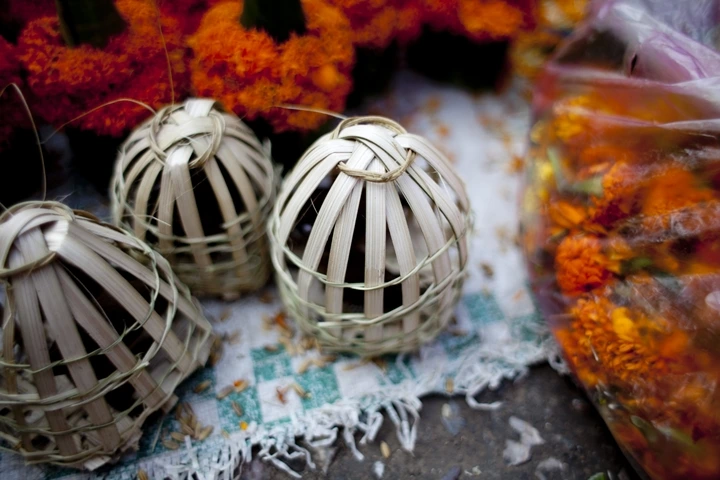 _MG_7484.jpg?type=w1