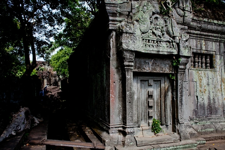 _MG_0997.JPG?type=w1