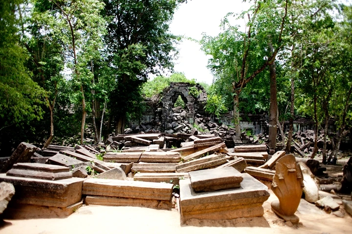 _MG_1108.JPG?type=w1