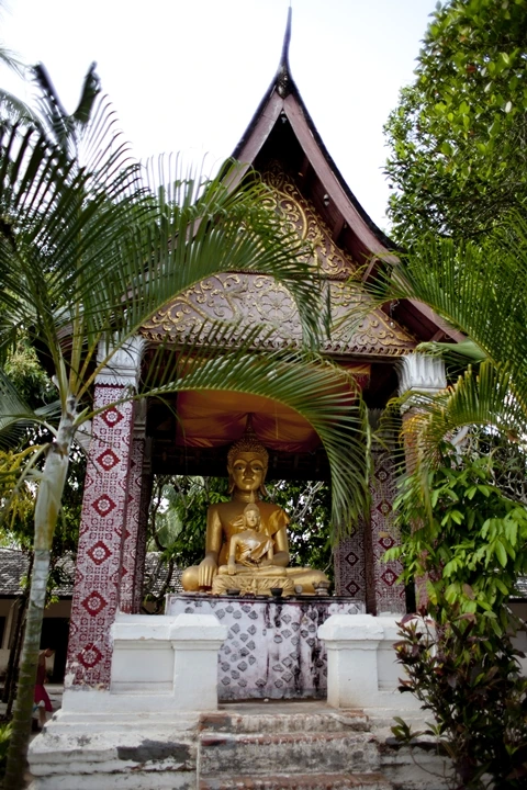 _MG_7717.jpg?type=w1