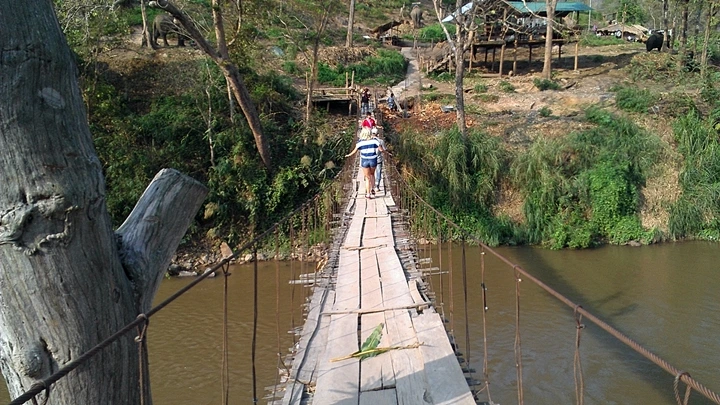 sIMAG1358.jpg?type=w1