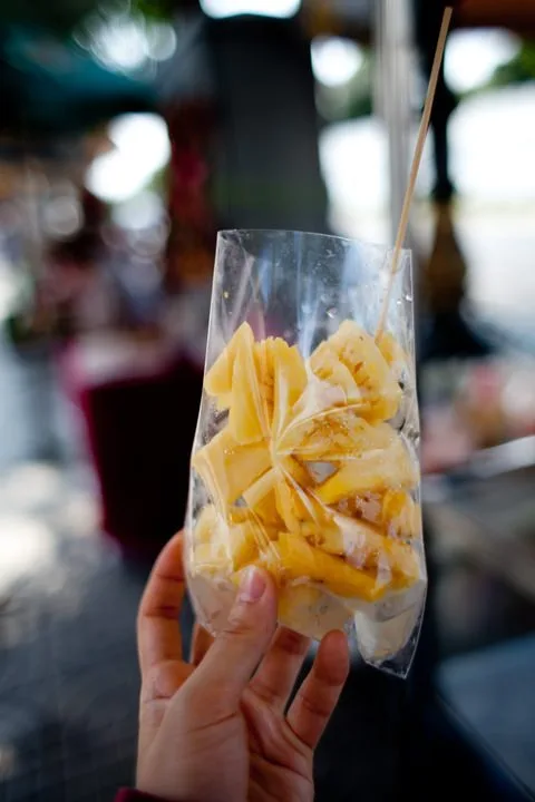 20-01.jpg?resize=480%2C720