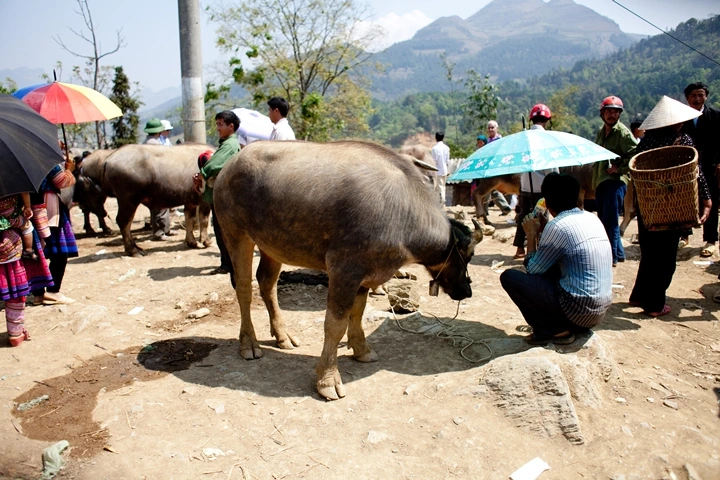 _MG_9014.JPG?type=w1