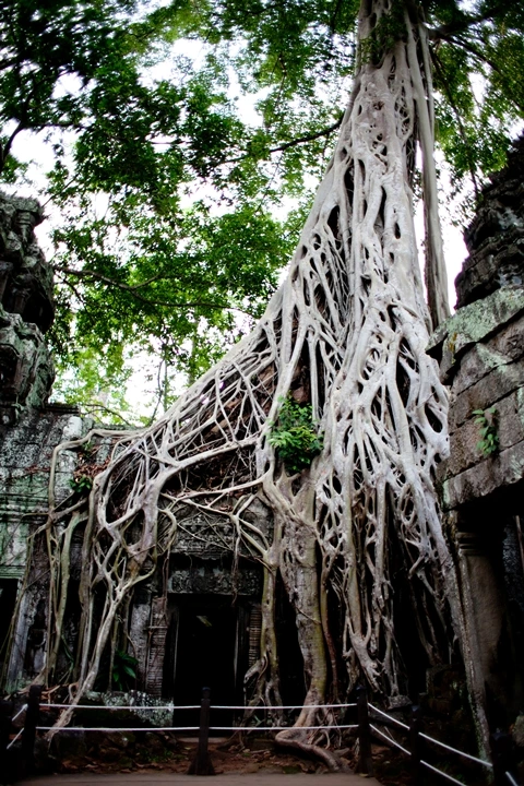 _MG_1209.JPG?type=w1