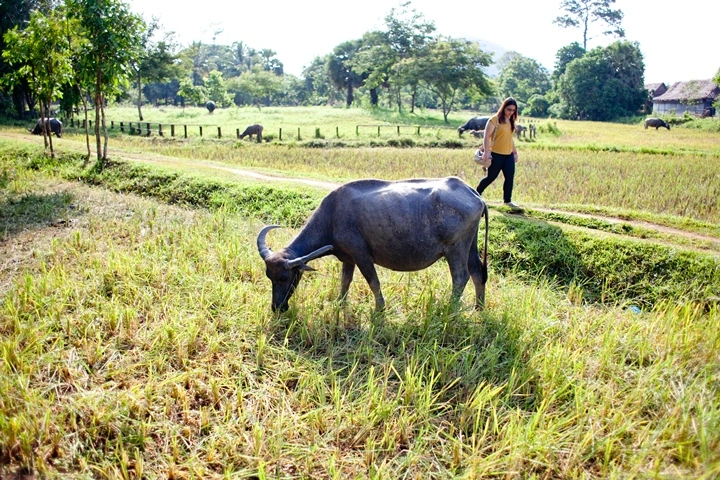 _MG_1505.JPG?type=w1