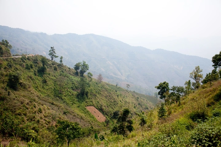 _MG_7997.JPG?type=w1