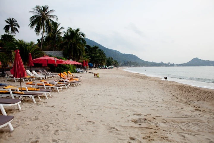 16-02.jpg?resize=720%2C480