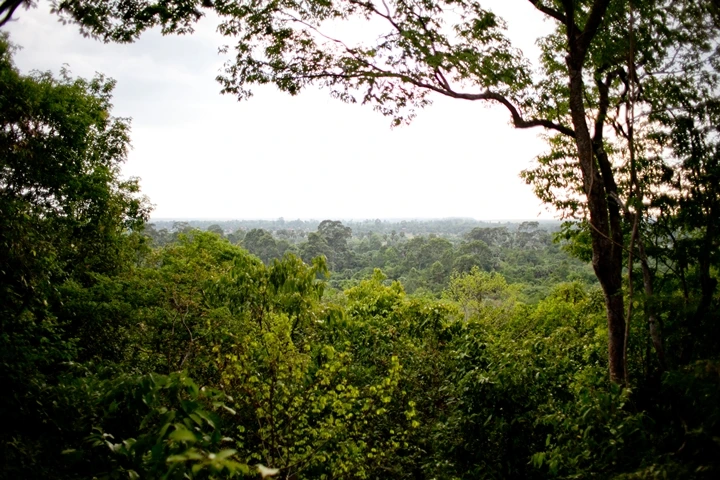 _MG_1434.JPG?type=w1