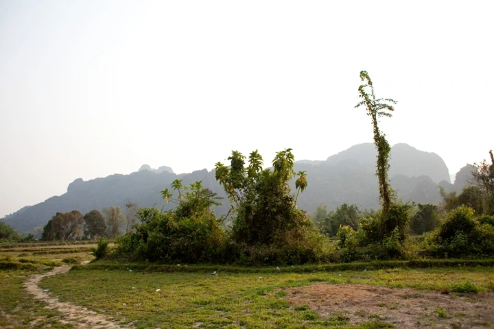 _MG_8146.JPG?type=w1