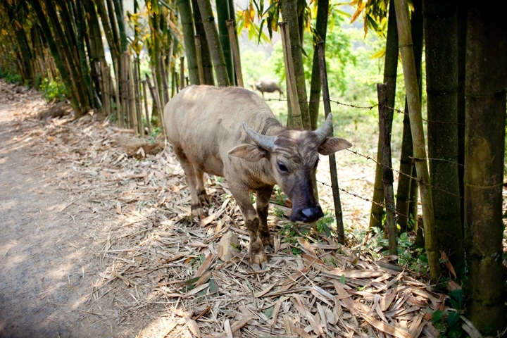 _MG_8835.JPG?type=w1