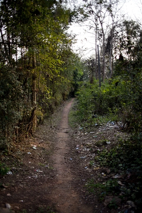 _MG_7870.jpg?type=w1