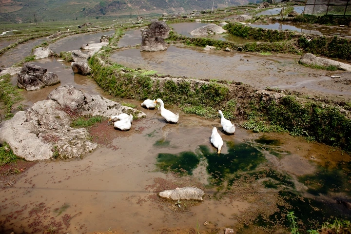 _MG_8899.JPG?type=w1