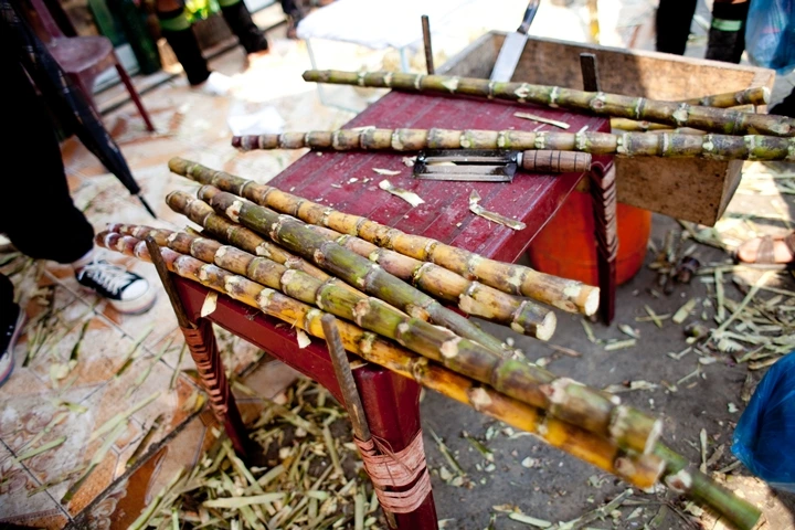 _MG_8838.JPG?type=w1