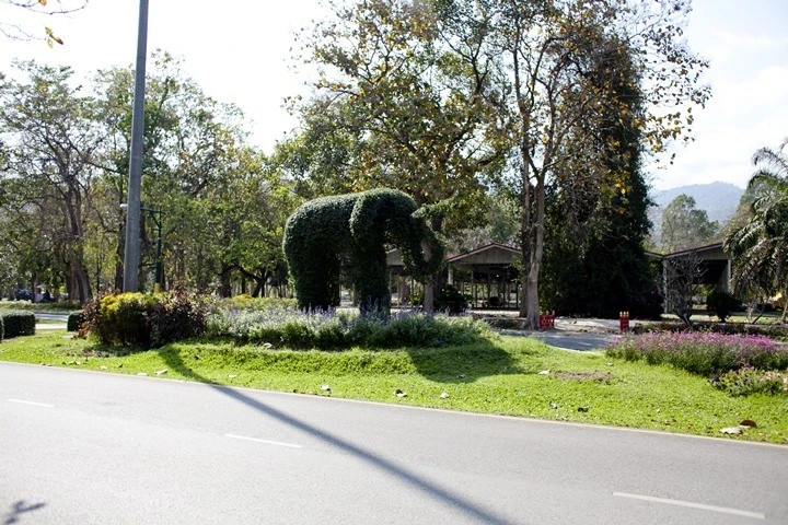 2013-25-19.jpg?resize=720%2C480