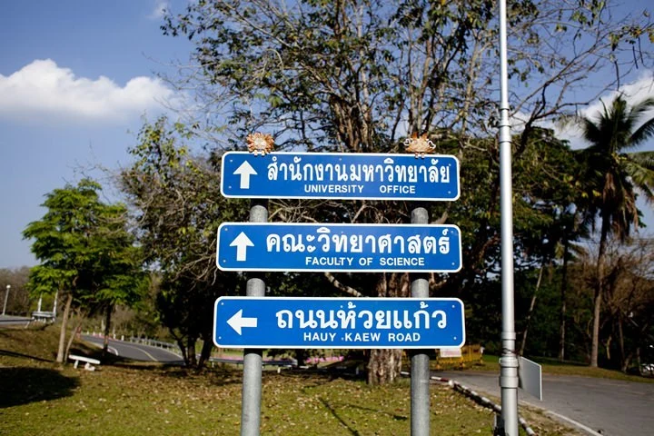 2013-25-20.jpg?resize=720%2C480