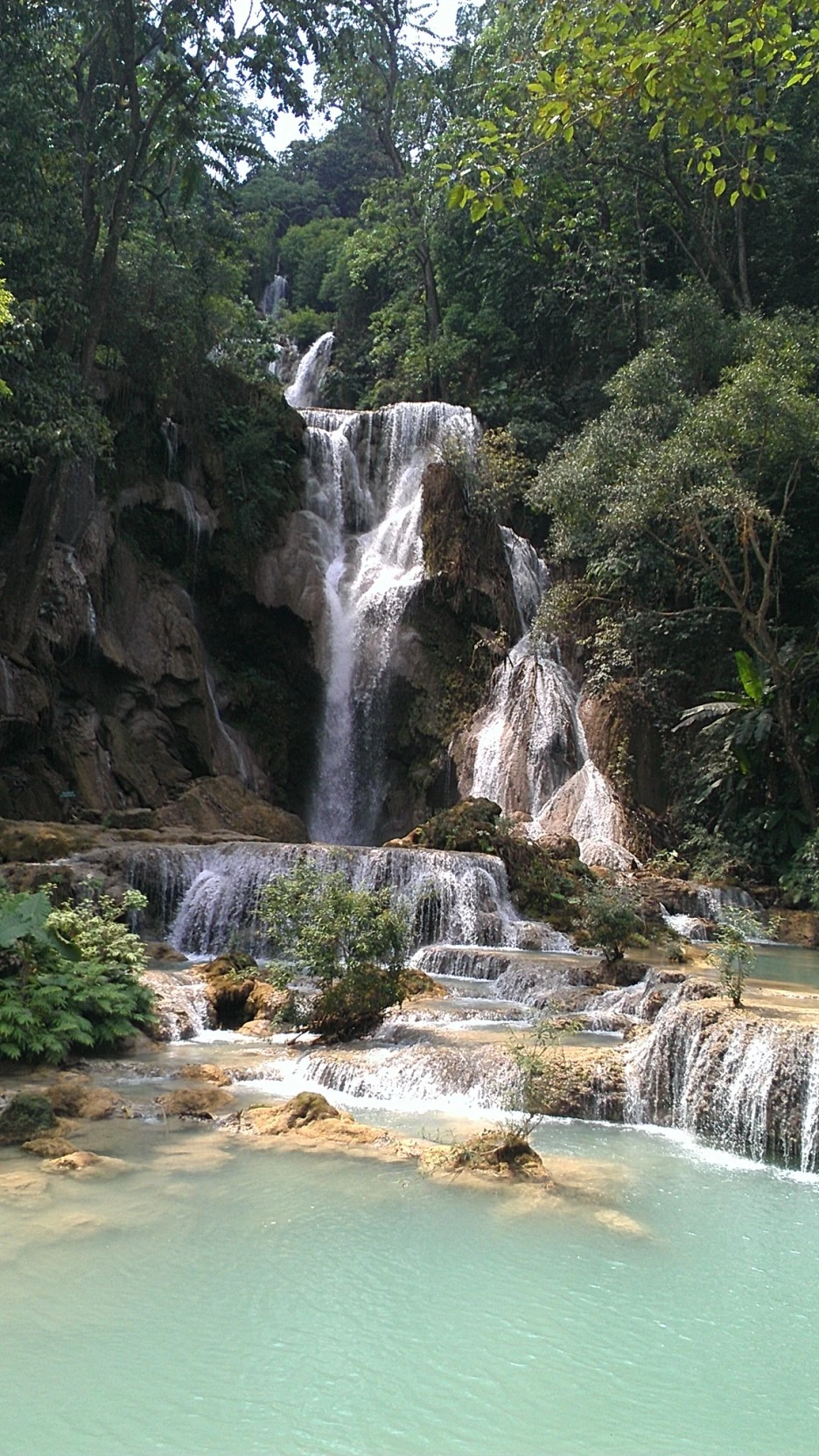 IMAG1443.jpg?type=w1