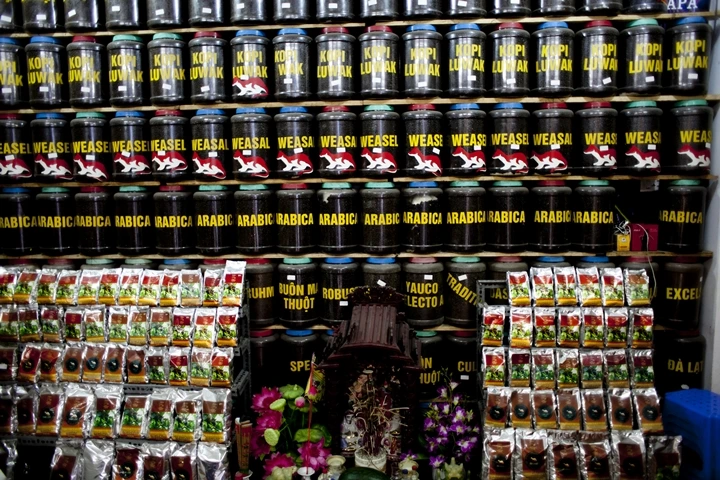 _MG_9116.jpg?type=w1